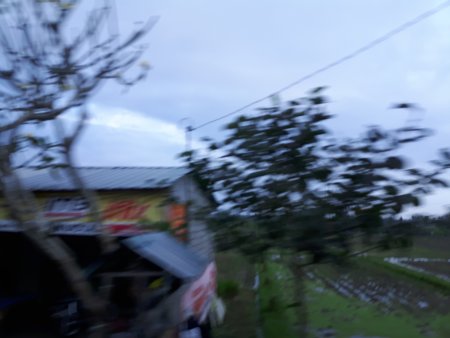 039-IMG_20170729_172428.jpg.medium.jpeg