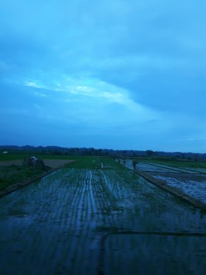 042-IMG_20170729_172535.jpg.medium.jpeg