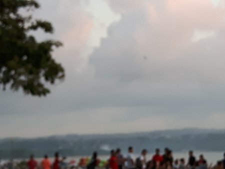 065-IMG_20170730_181314.jpg.medium.jpeg