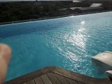 071-IMG_20170731_082516.jpg.small.jpeg